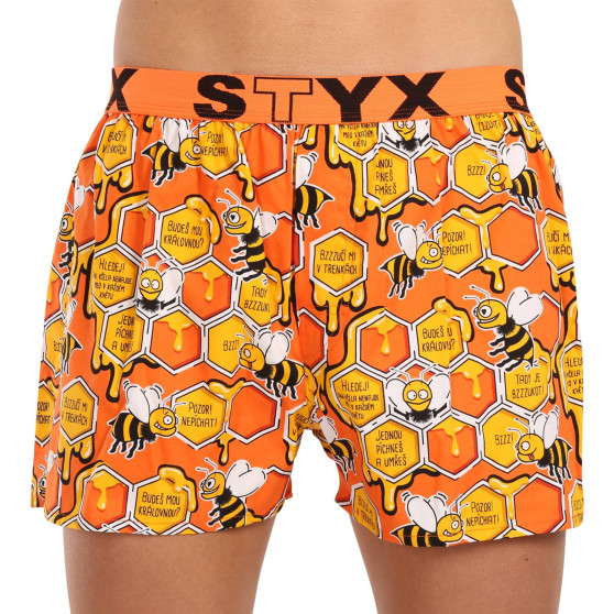 3PACK pánské trenky Styx art sportovní guma vícebarevné (3B16347)